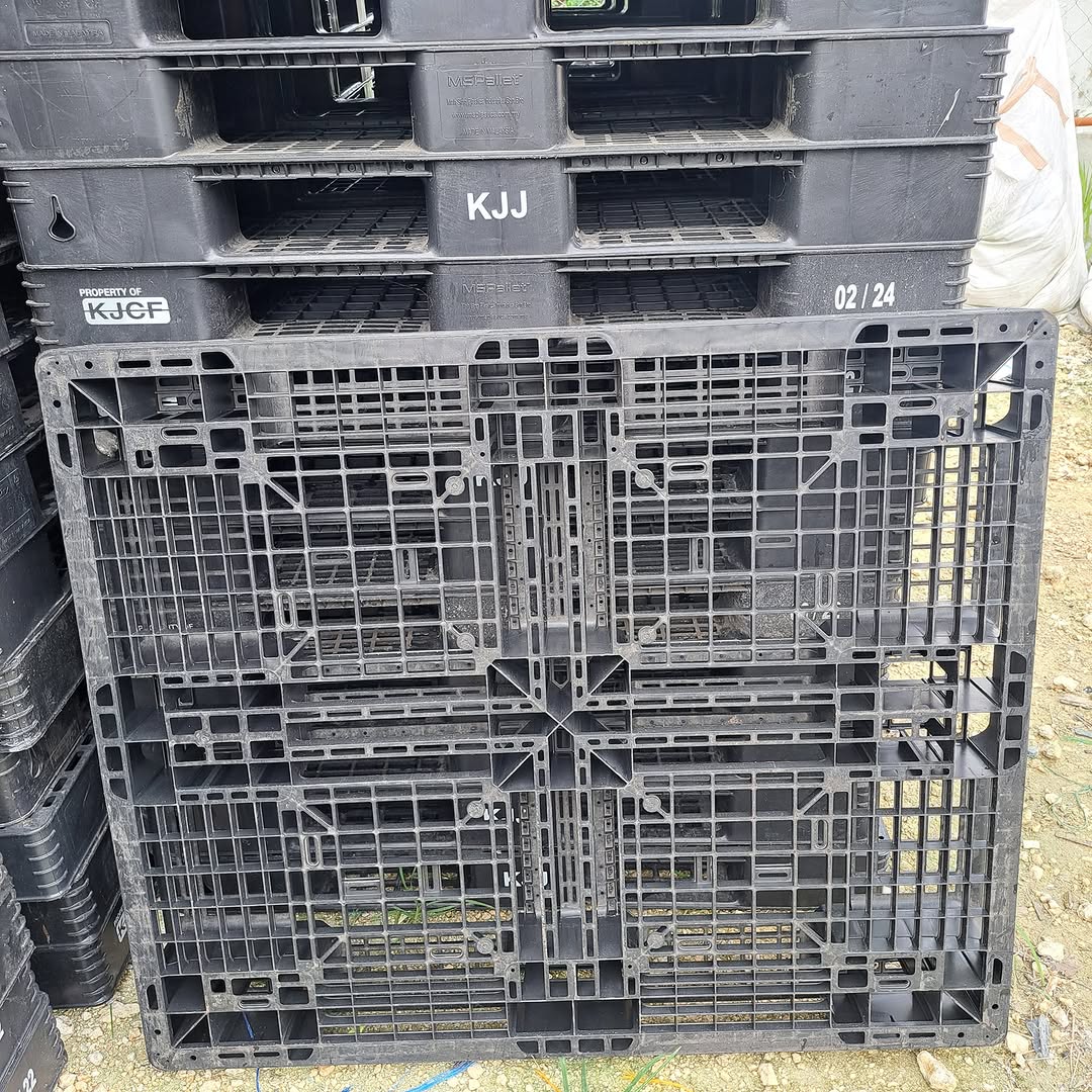 GMA 40x48 plastic pallets - rack-compatible