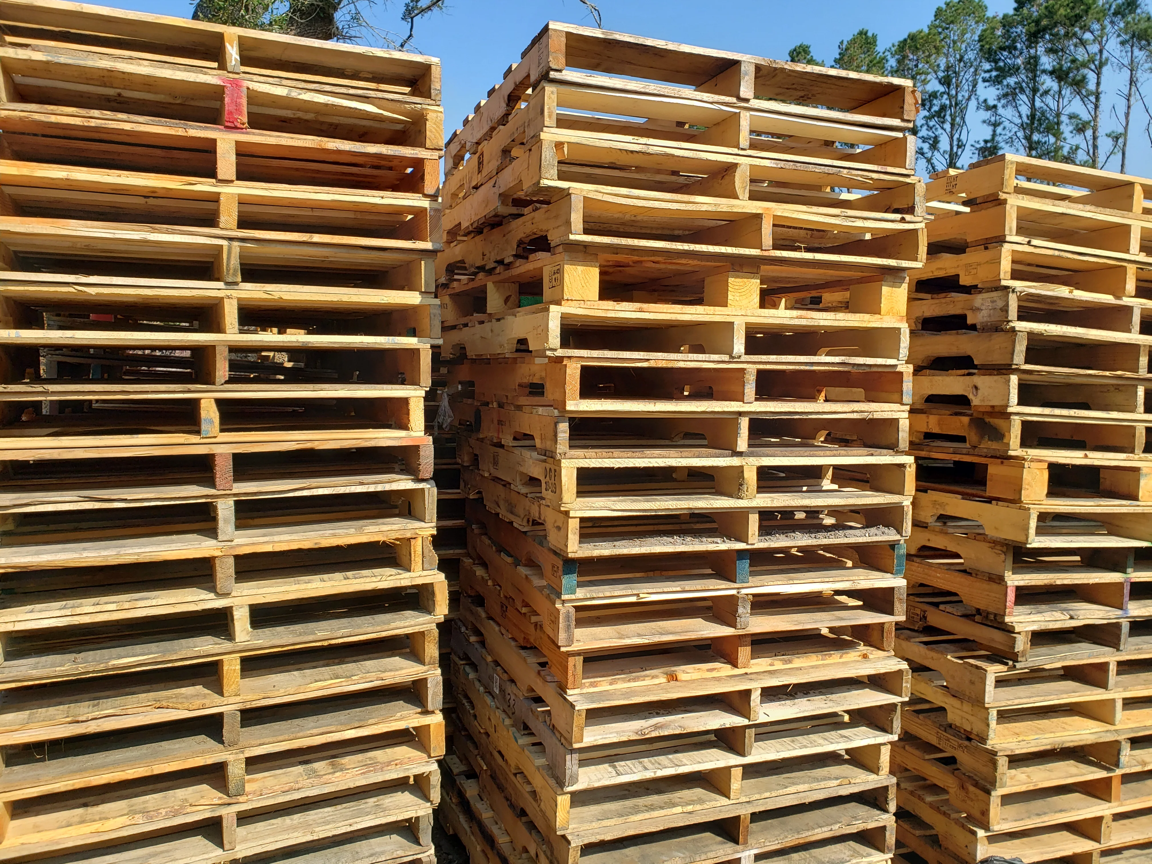 Bulk wood pallet inventory - 600 pallets per truckload - worldwide delivery